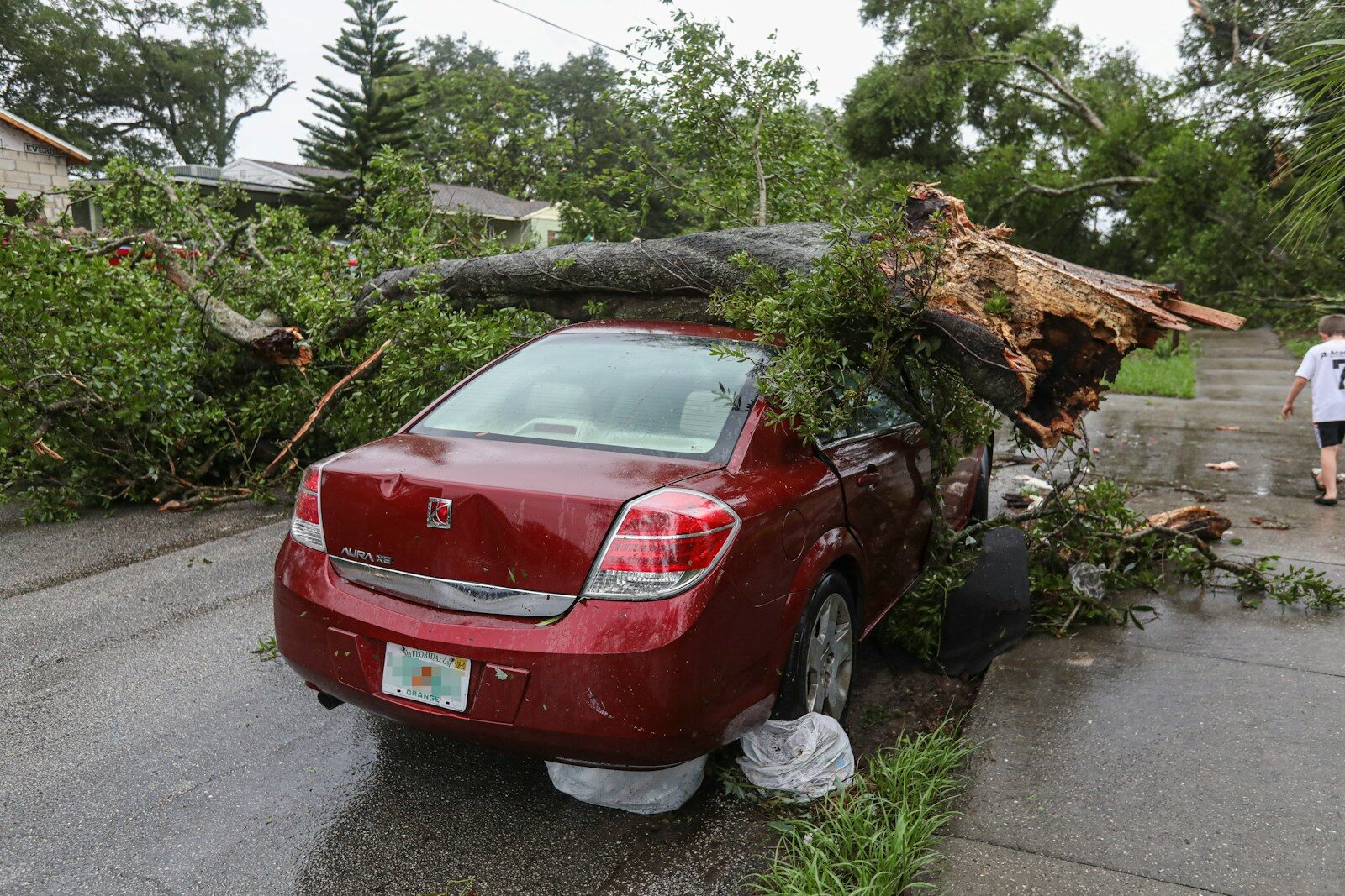 Are You Covered if a Tree Falls on Your Car During a Windstorm or Tornado?